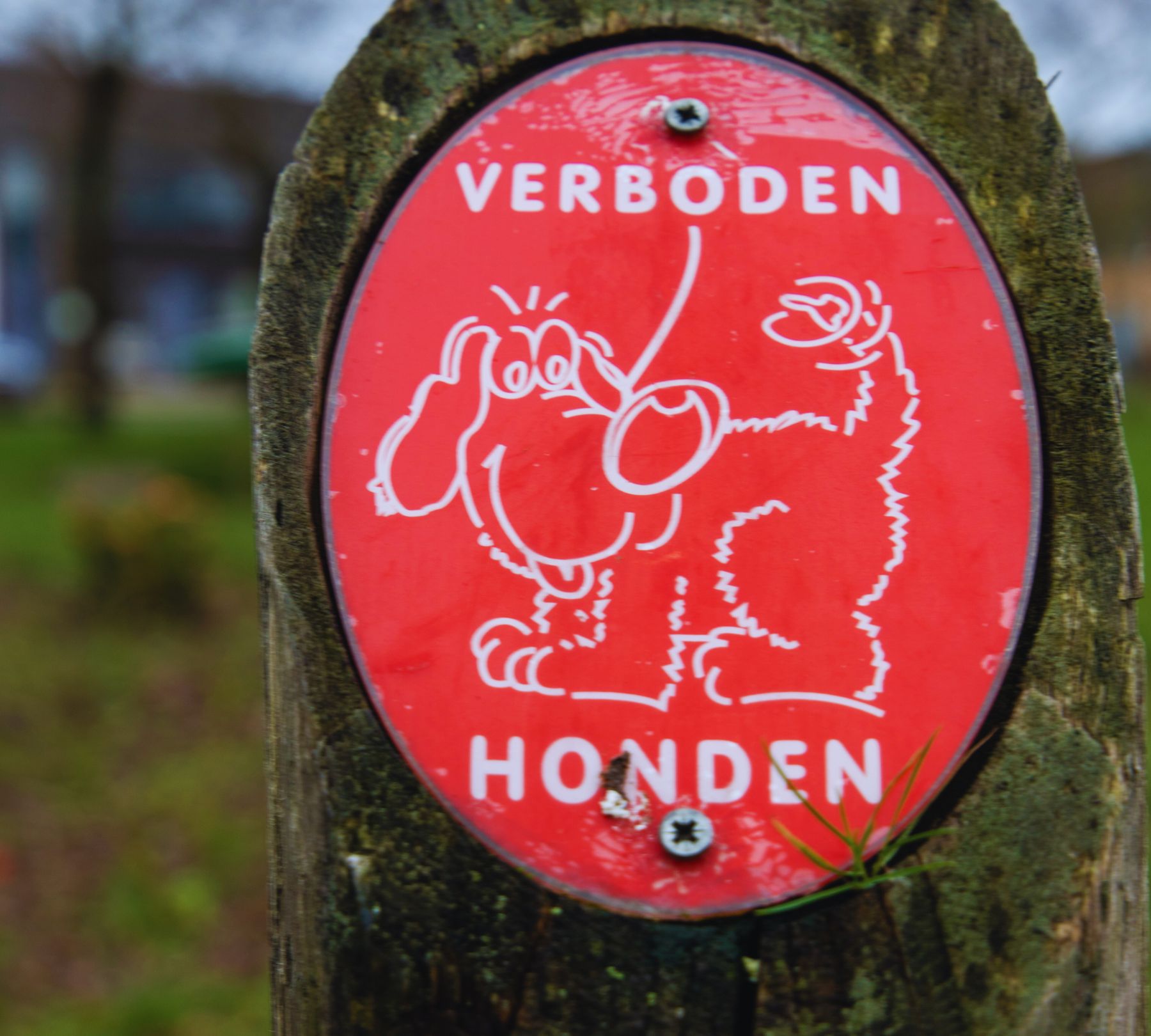 Camping in Holland Hund verboten